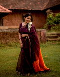 Chocolate Butti Banarasi Saree